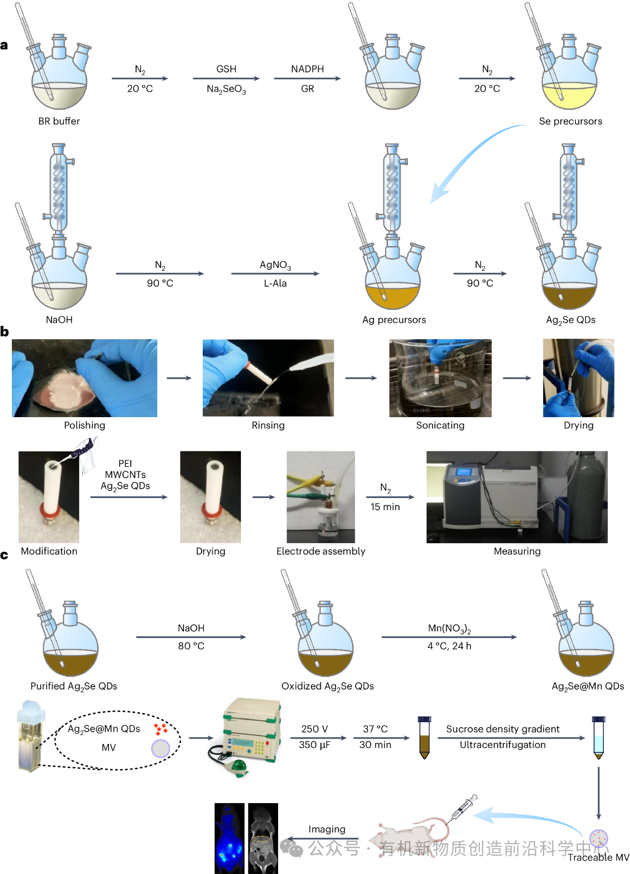 庞代文教授Nat. Protoc.：活细胞合成生物相容性量子点取得新成果