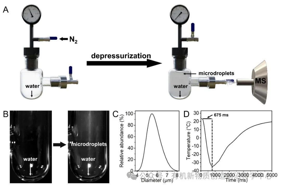 张新星教授JACS:解决微液滴化学关键争议